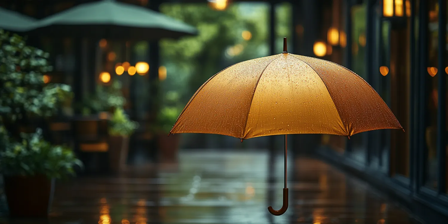 Gdzie kupić polisę OCP najtaniej?