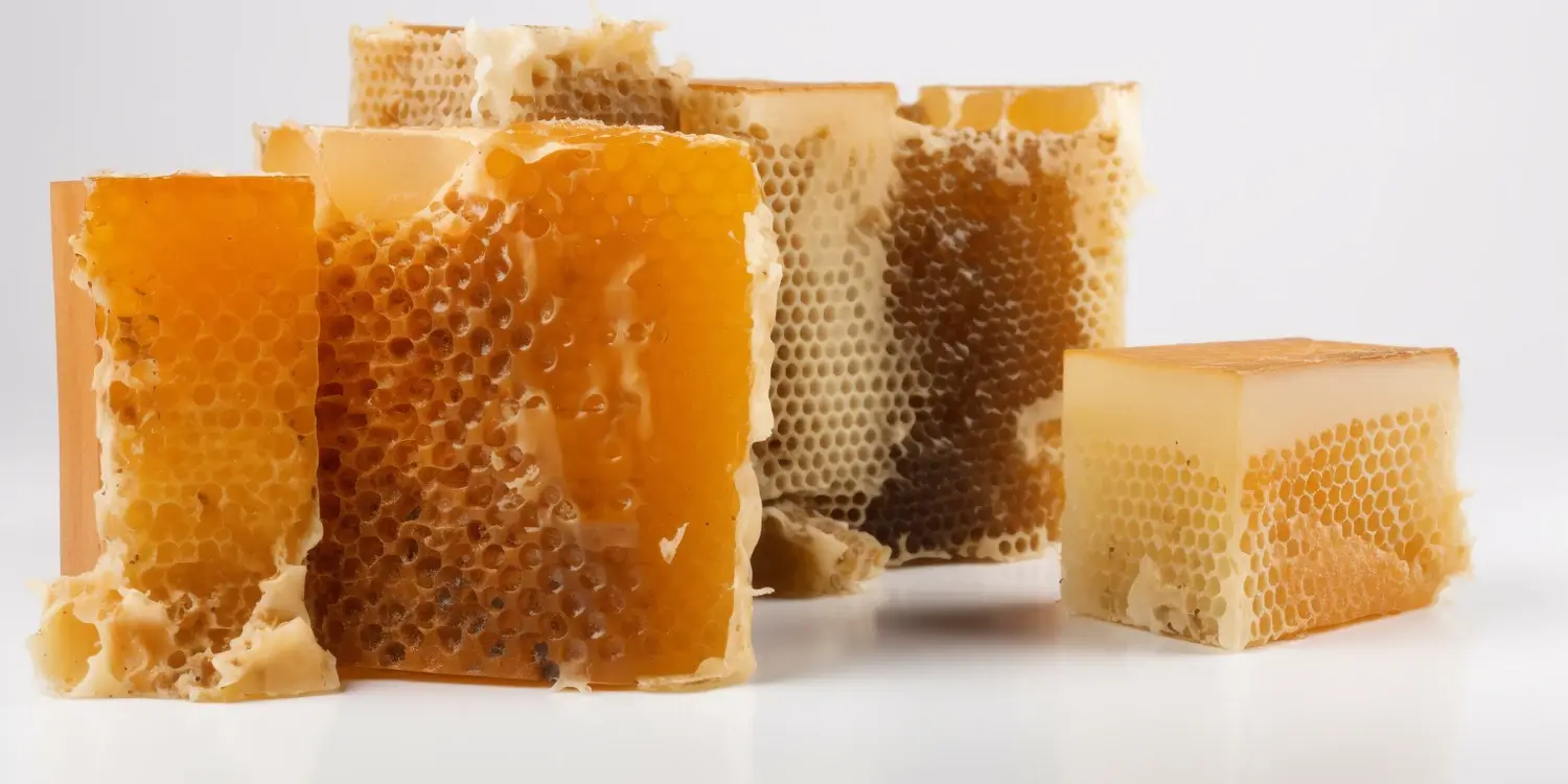 Jak zrobić miód rzepakowy?