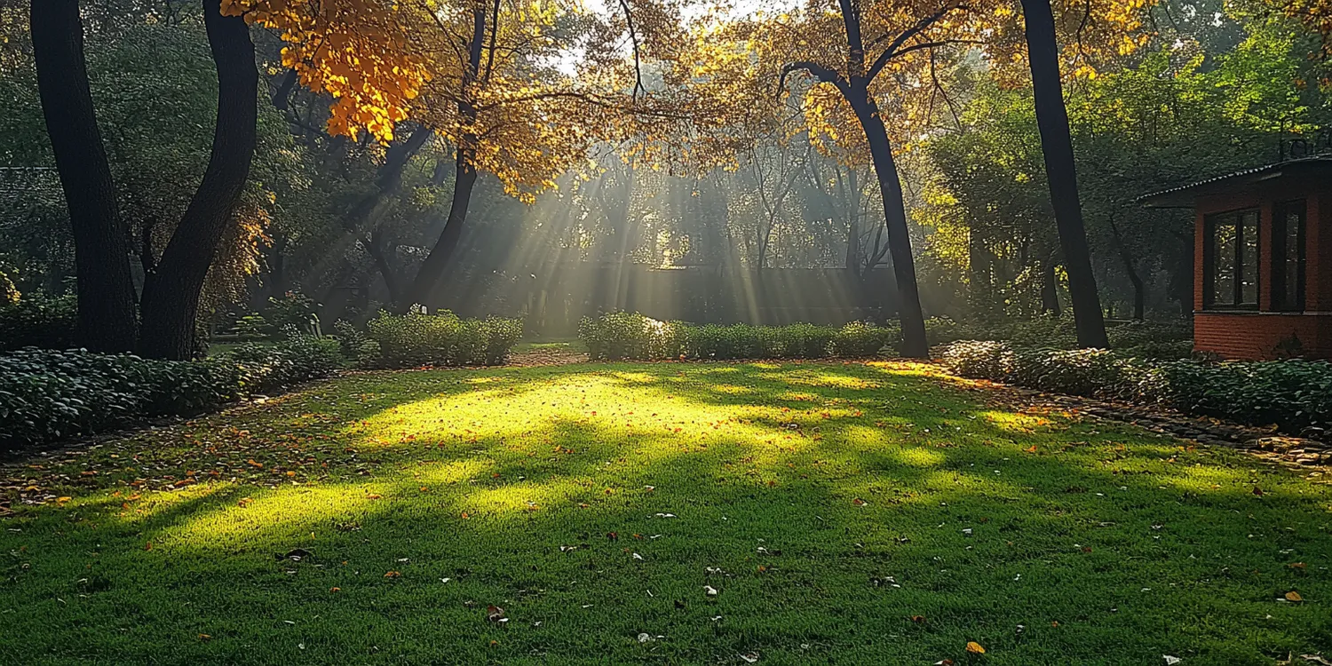 Ile waży trawa z rolki?