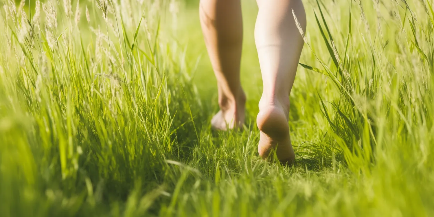 Wszystko o srebrnych opatrunkach