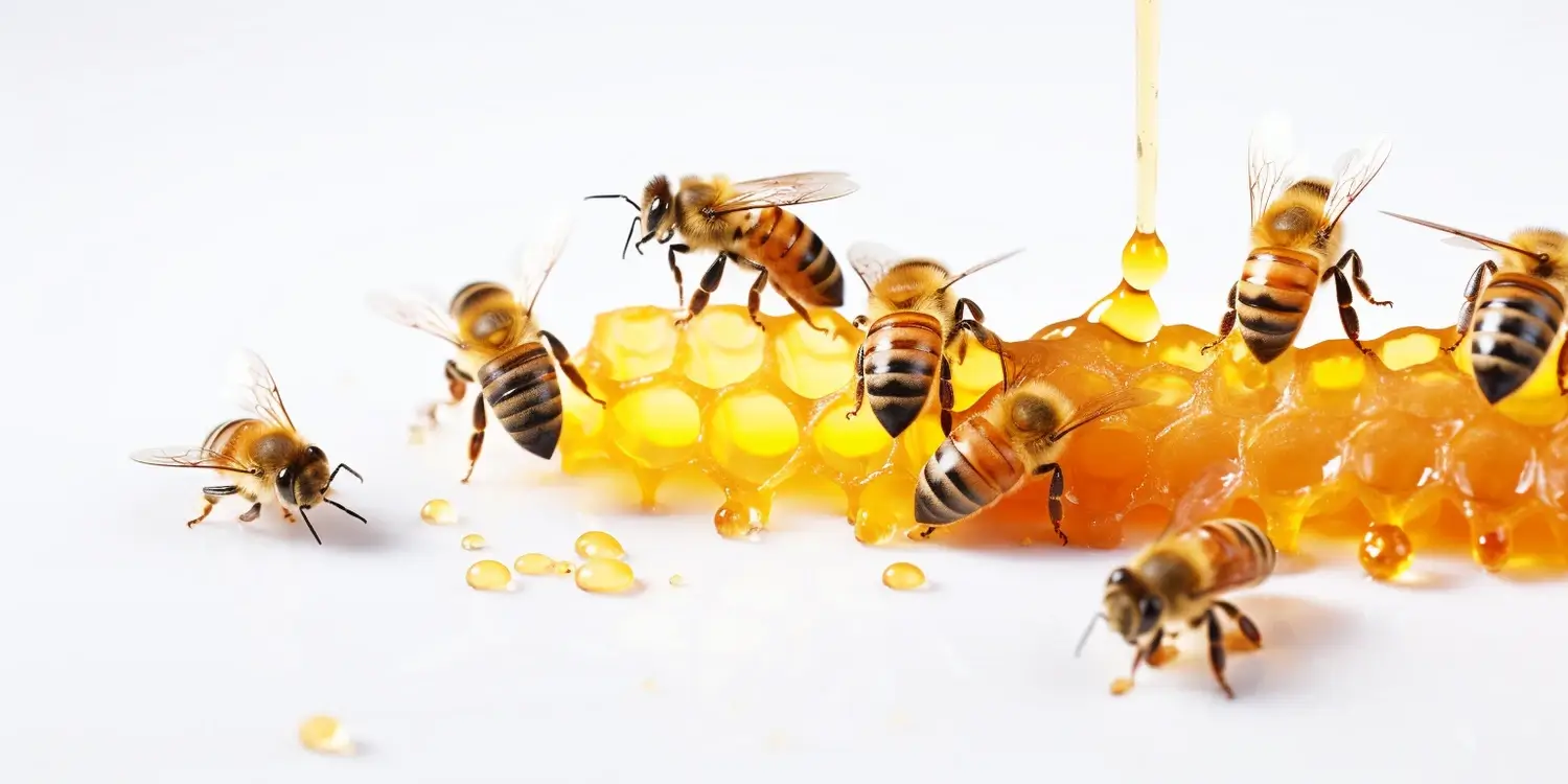 Miód wrzosowy na przeziębienie